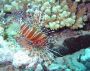 07Moorea - 24